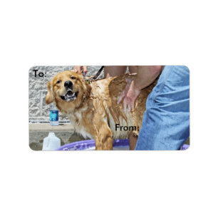 Golden Retriever - That the Spot! Label