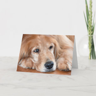 golden retriever-thinking of you card