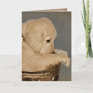 Golden Retriever Thinking of You Card