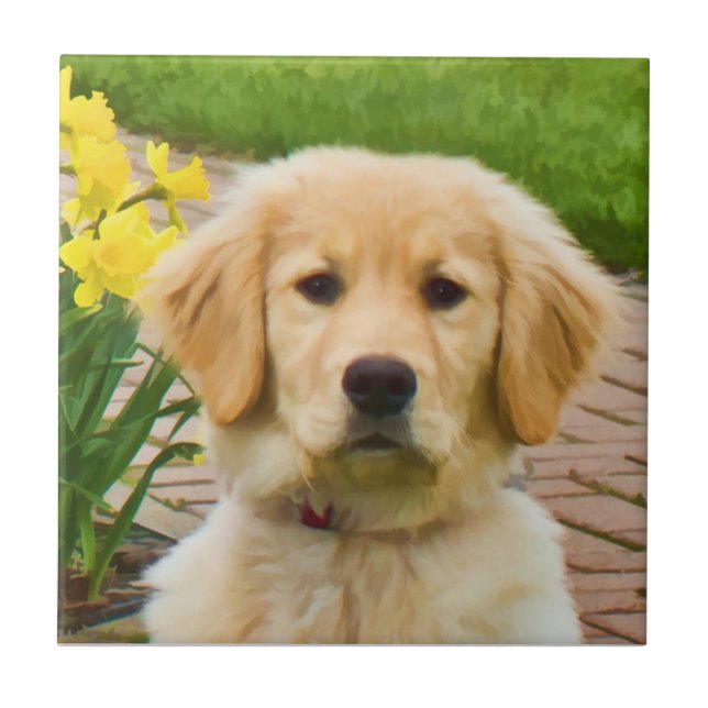 Golden Retriever Tile (Front)