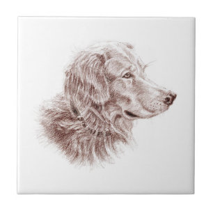 Golden Retriever Tile