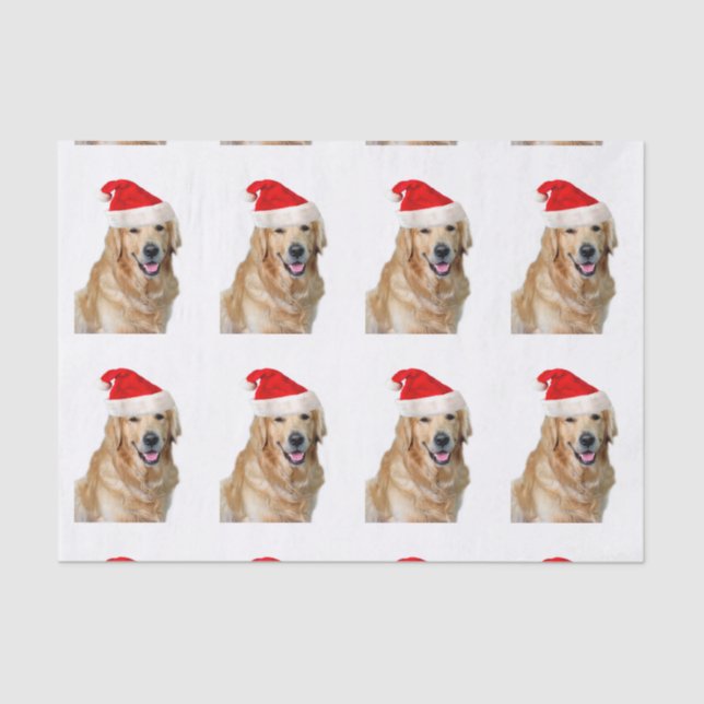 Golden Retriever Tissue Paper (Front)