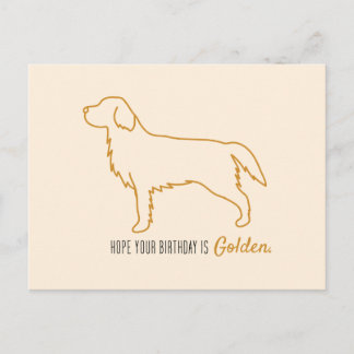 Golden Retriever Tissue Paper  Postcard