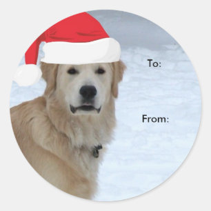 Golden Retriever To/From Christmas stickers