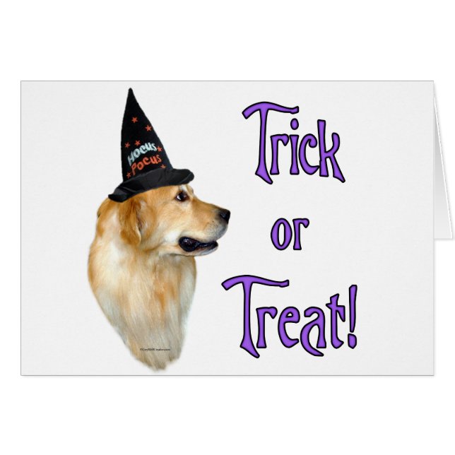 Golden Retriever Trick (Front Horizontal)