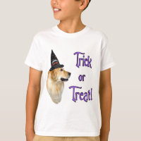 Golden Retriever Trick