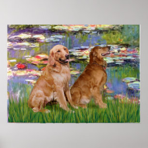 Golden Retriever (two) - Lilies 2 Poster