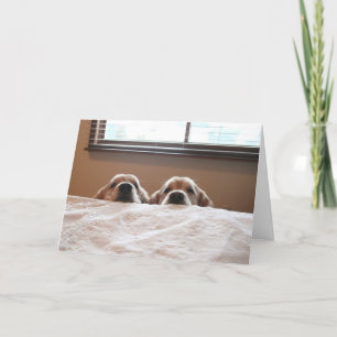 Golden Retriever Up Yet Mother's Day Card