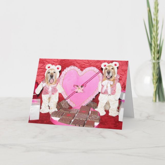 Golden Retriever Valentine and Chocolate Bears Card (Front)