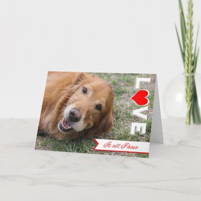 Golden Retriever Valentine Card (Front)