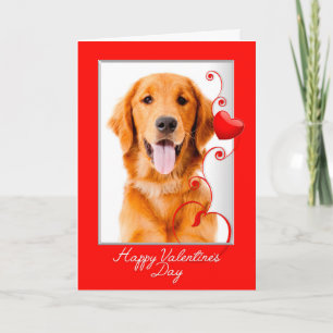 Golden Retriever Valentine Holiday Card