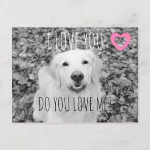 Golden retriever VALENTINE Postcard