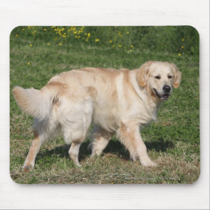Golden Retriever Walking Mouse Mat