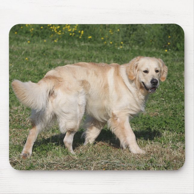 Golden Retriever Walking Mouse Mat (Front)