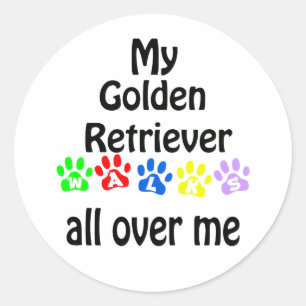 Golden Retriever Walks Design Classic Round Sticker