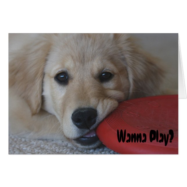 Golden Retriever Wanna Play... (Front Horizontal)