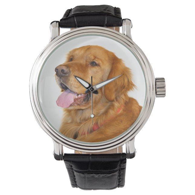 Golden retriever watch (Front)