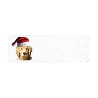 Golden Retriever wearing a Santa Claus hat