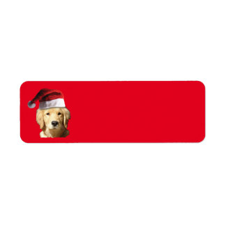Golden Retriever wearing a Santa Claus Hat
