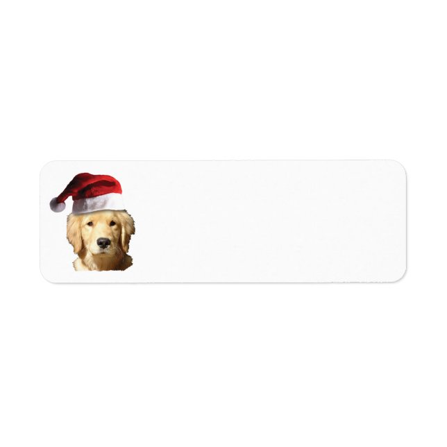 Golden Retriever wearing a Santa Claus Hat (Front)