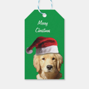 Golden Retriever wearing a Santa Claus Hat Gift Tags