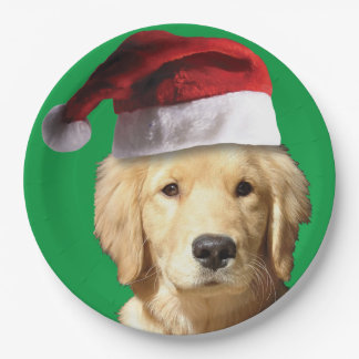 Golden Retriever wearing a Santa Claus Hat Paper Plate