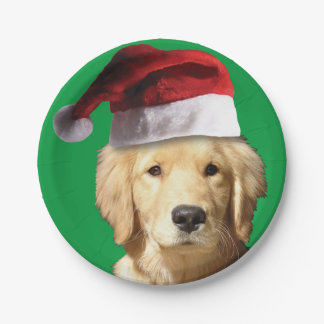 Golden Retriever wearing a Santa Claus Hat Paper Plate