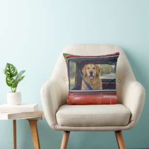 Golden Retriever Wearing a Seatbelt Cushion
