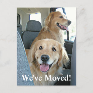 Golden Retriever We've Moved Change of Address Announcement Postcard