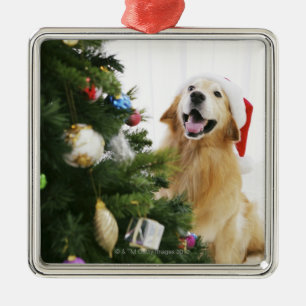 Golden retriever which watches Christmas tree Metal Tree Decoration