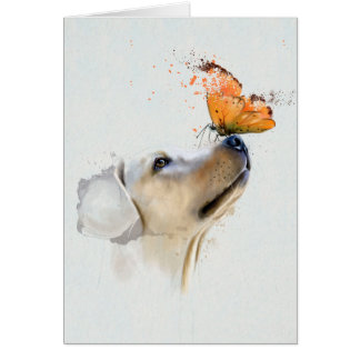 Golden Retriever With a Butterfly on Its Nose