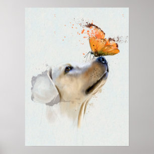 Golden Retriever With a Butterfly on Its Nose Poster