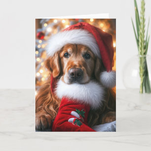 Golden Retriever With a Christmas Stocking Holiday Card