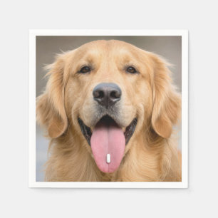 Golden Retriever with a Pill Napkin