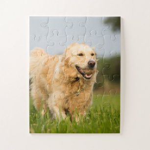 Golden Retriever with Ball Jigsaw Puzzle