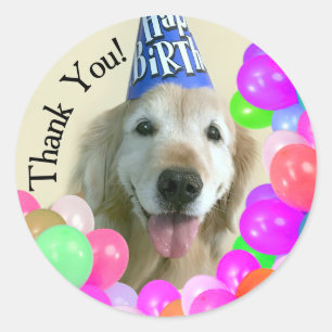 Golden Retriever With Balloons Thank You Birthday Classic Round Sticker