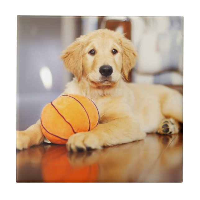 Golden Retriever With Basketball Toy Tile (Front)