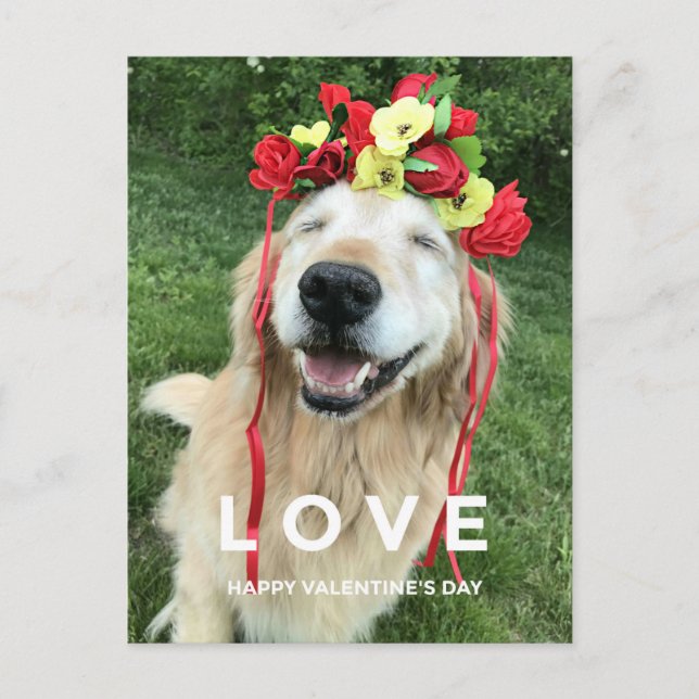 Golden Retriever With Flower Crown Valentine's Day Holiday Postcard (Front)