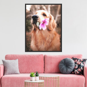 Golden Retriever with Flower Heartwarming Dog Canvas Print