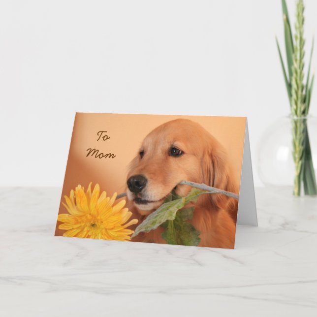 Golden Retriever With Flower Mother's Day Card (Front)