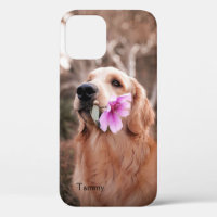 Golden Retriever with Flower Personalised