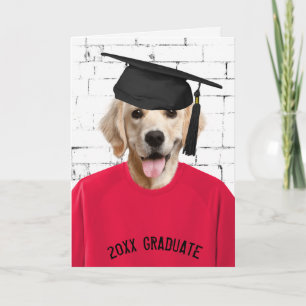 golden retriever with graduation cap card