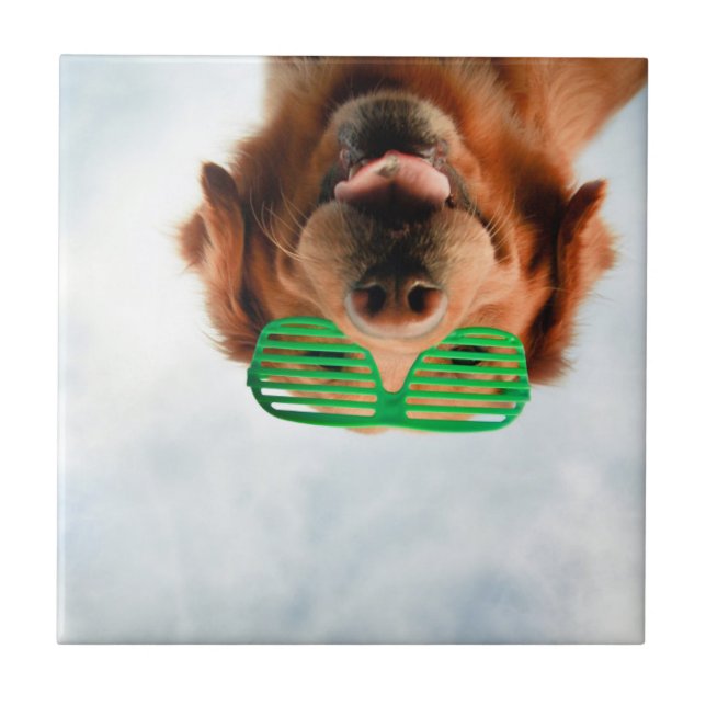 Golden Retriever With Green Sunglasses Tile (Front)