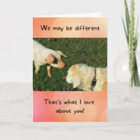 Golden Retriever with Pig Funny Anniversary Card