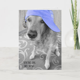 Golden Retriever with purple cap Card