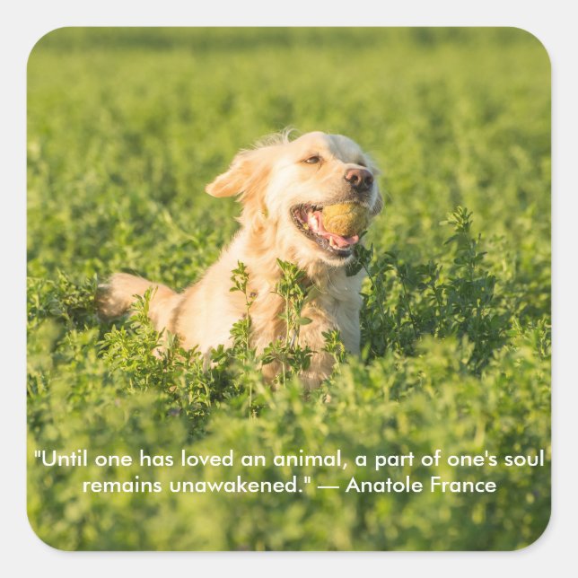Golden Retriever with Quote Square Sticker (Front)