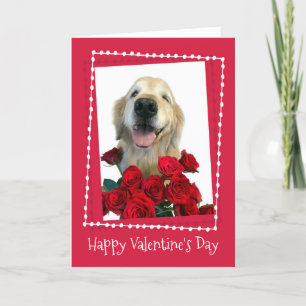 Golden Retriever With Red Roses Valentine's Day Holiday Card