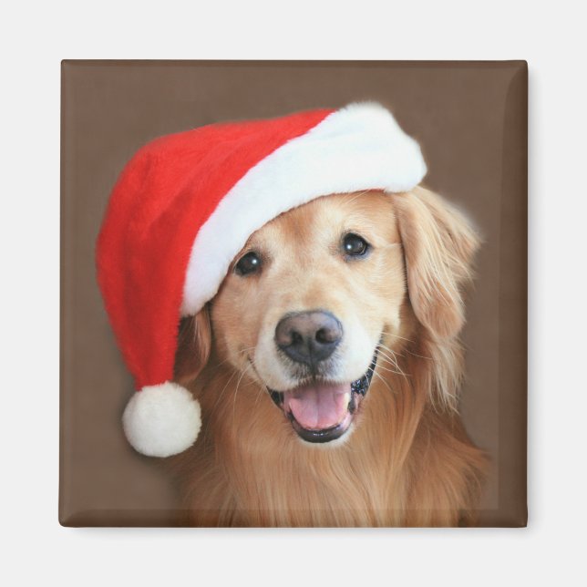 Golden Retriever With Santa Hat Magnet (Front)
