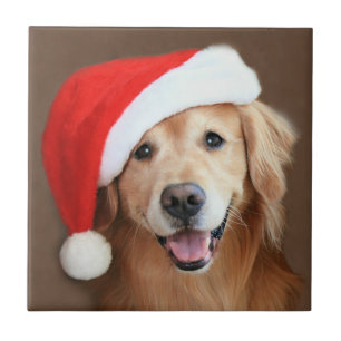 Golden Retriever With Santa Hat Tile