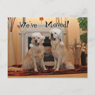 Golden Retriever with santa hats on a New Address Postcard